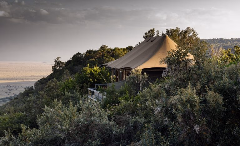 Angama Mara Gallery Image 4