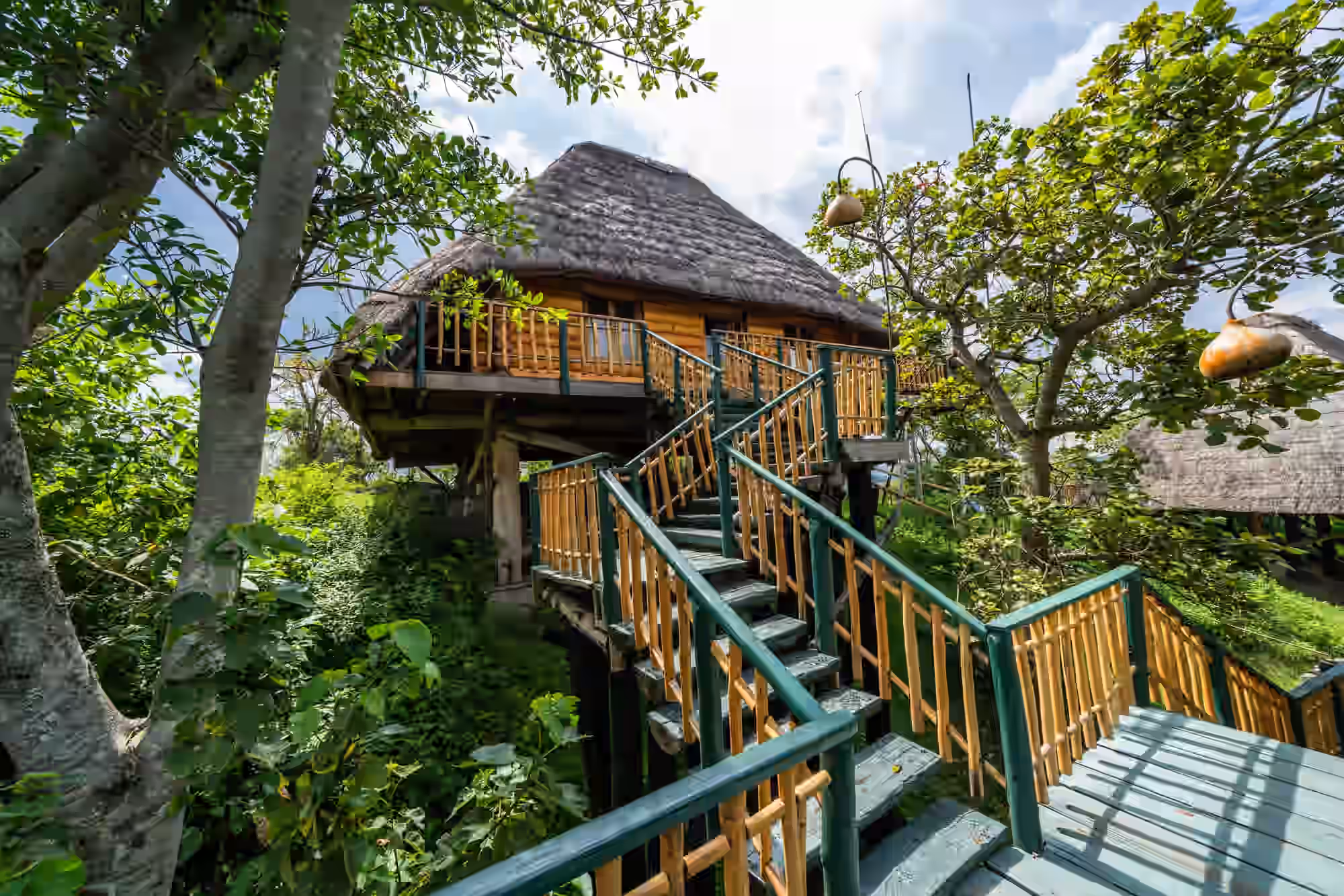 Luxury Log Cottage