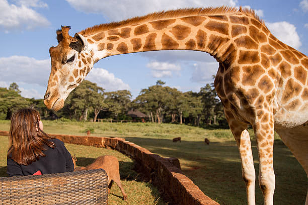 Giraffe Manor Tanzania