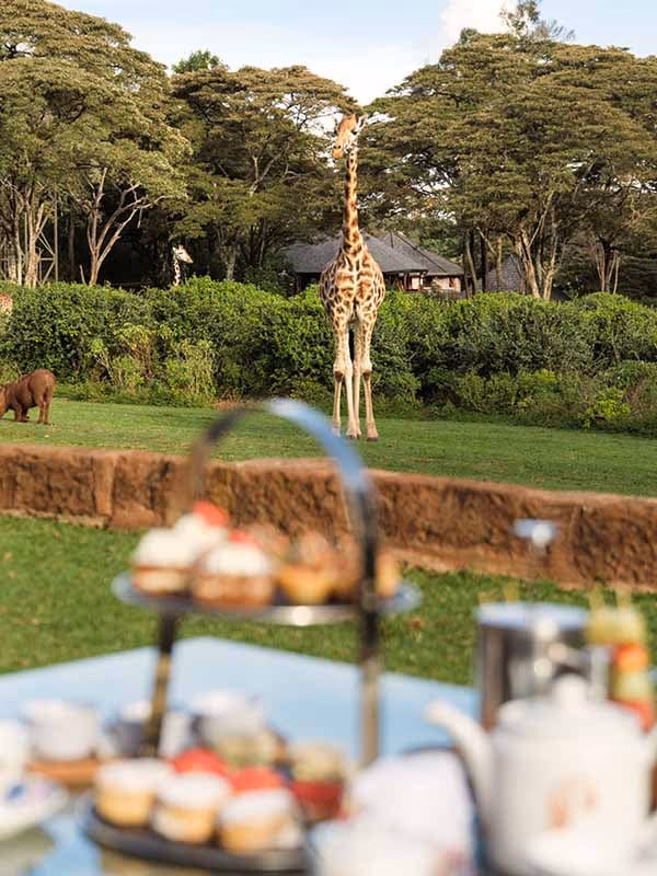 Giraffe Manor Boutique Hotel Gallery Image 5