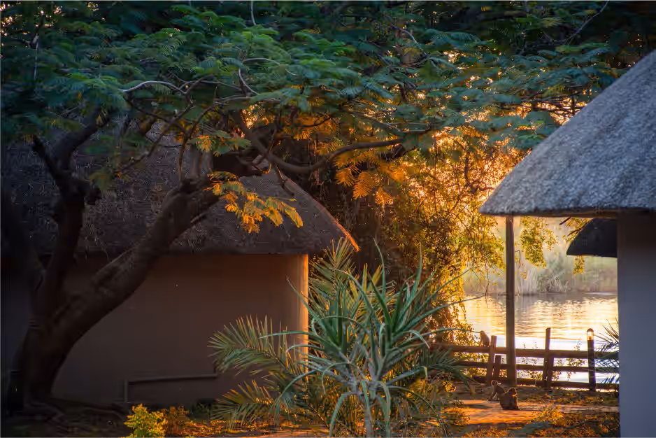 Chobe Safari Lodge Gallery Image 2
