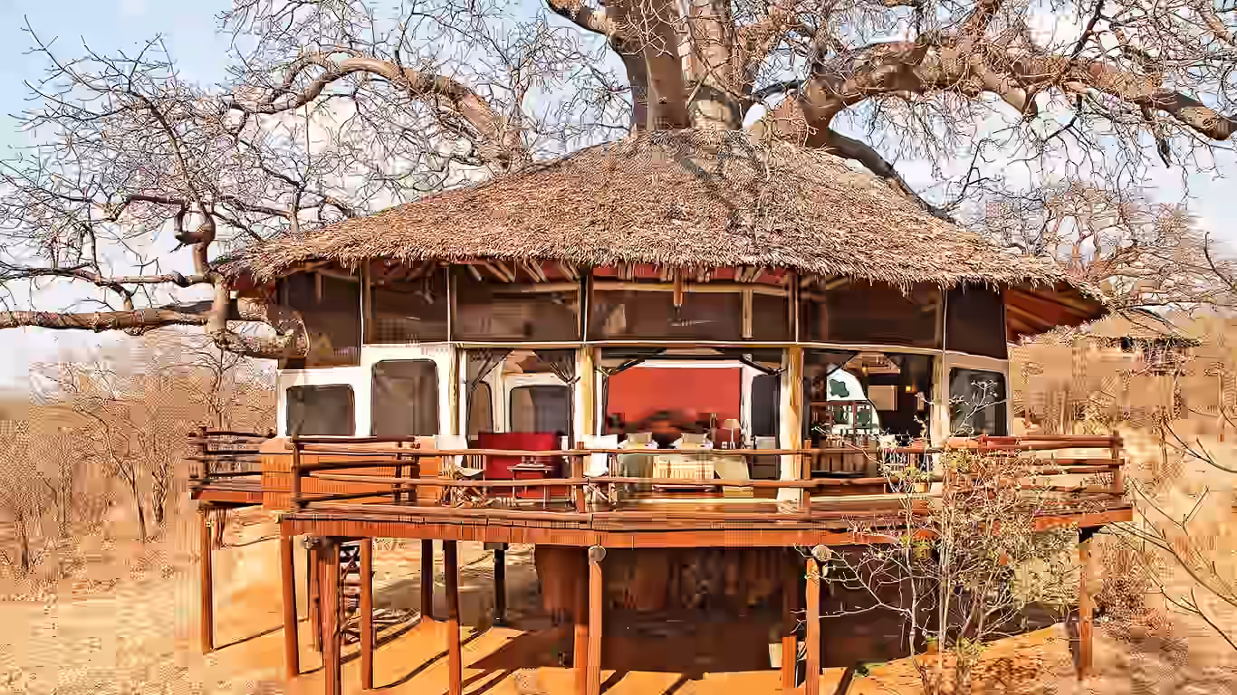 Tarangire treetops by Elewana Gallery Image 5