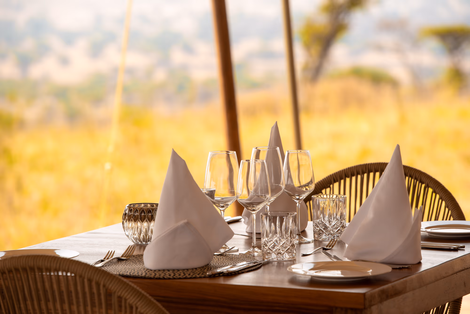 Serengeti Luxury Retreat Gallery Image 5