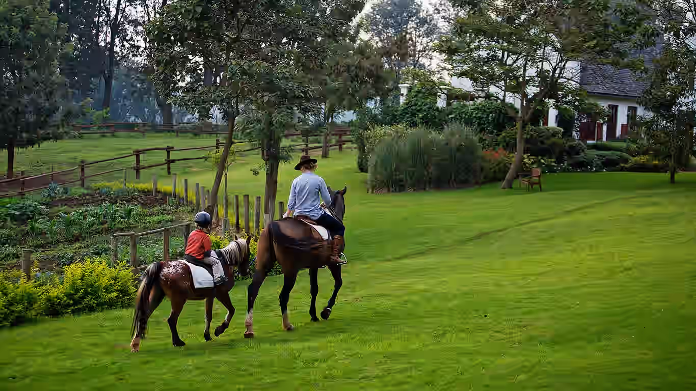 The Manor at Ngorongoro by Elewana Gallery Image 5