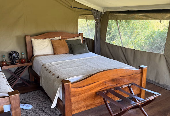 Standard Tent