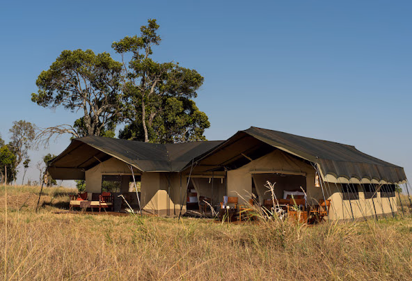Lemala Ndutu Camp Gallery Image 5