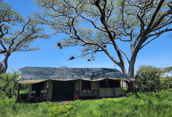 Lemala Ndutu Camp Gallery Image 3