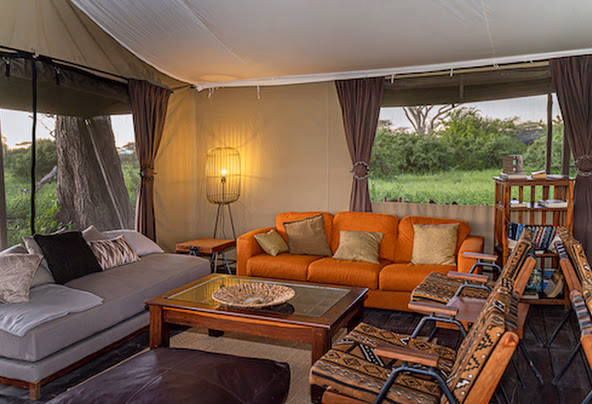 Lemala Ndutu Camp Gallery Image 4