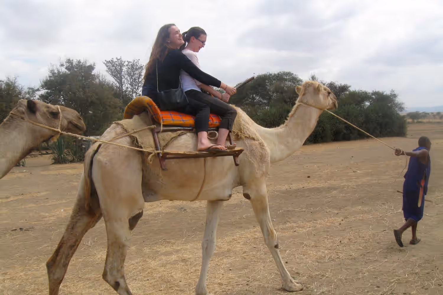 Meserani snake park, maasai museum & camel ride Gallery Image 3