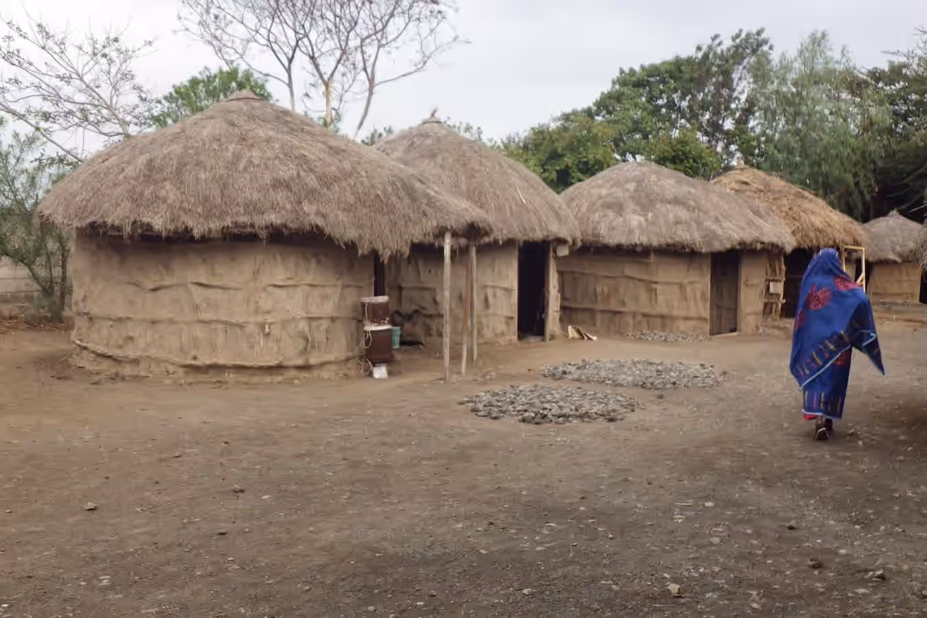 Meserani snake park, maasai museum & camel ride Gallery Image 1
