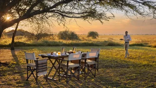 Bush dinner in the Serengeti