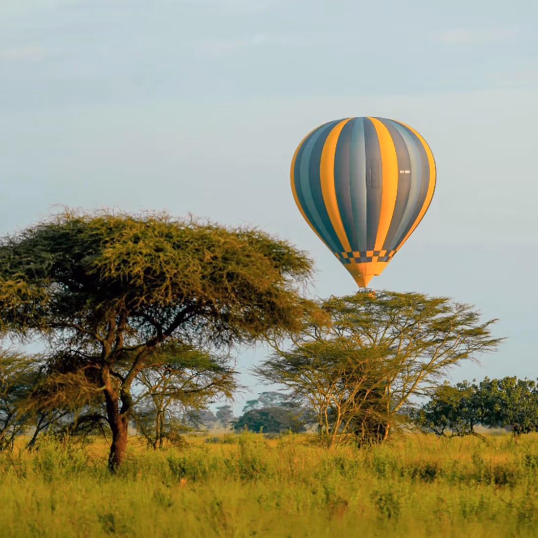 Hot Air Balloon Flight in the serengeti