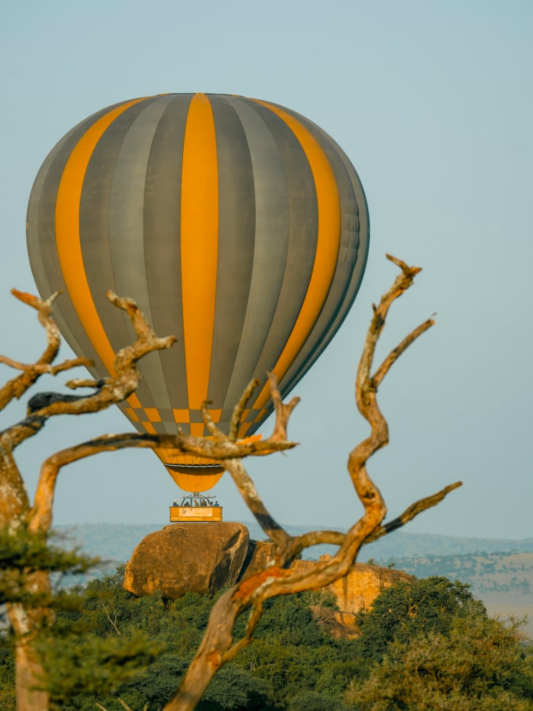 Hot Air Balloon Flight in Tarangire National Park Gallery Image 2
