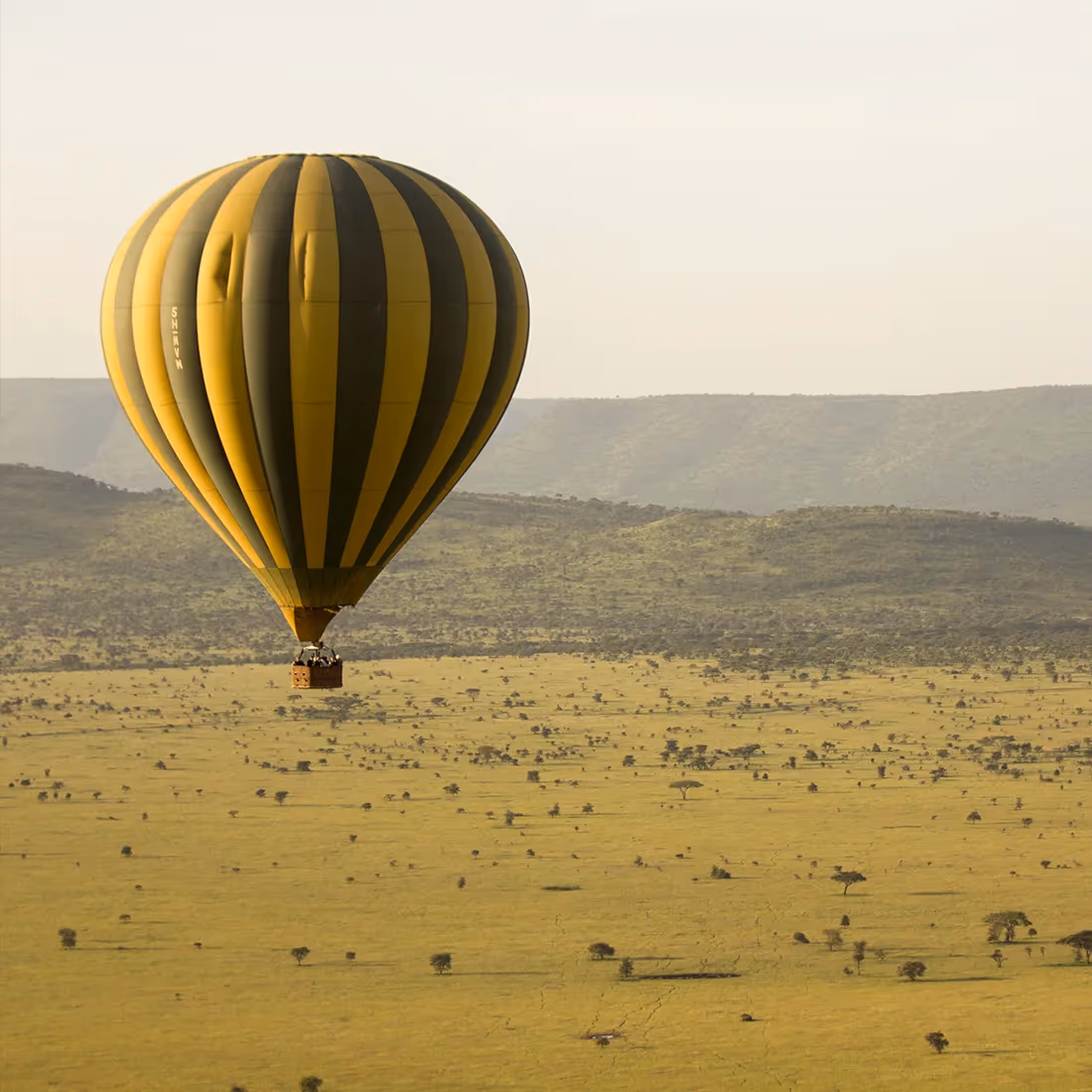 Hot Air Balloon Flight in Tarangire National Park Gallery Image 4