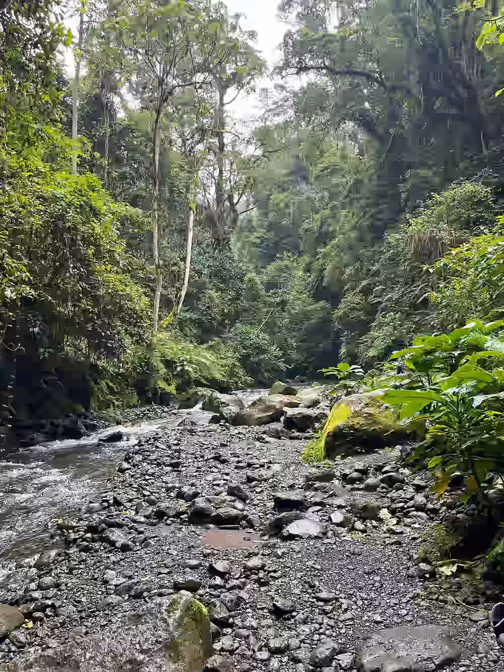 Hike to the mount meru waterfalls Gallery Image 2