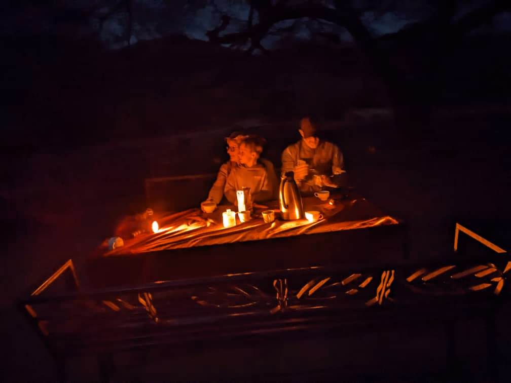 Night Game Drive in Lake Manyara National Park Gallery Image 4