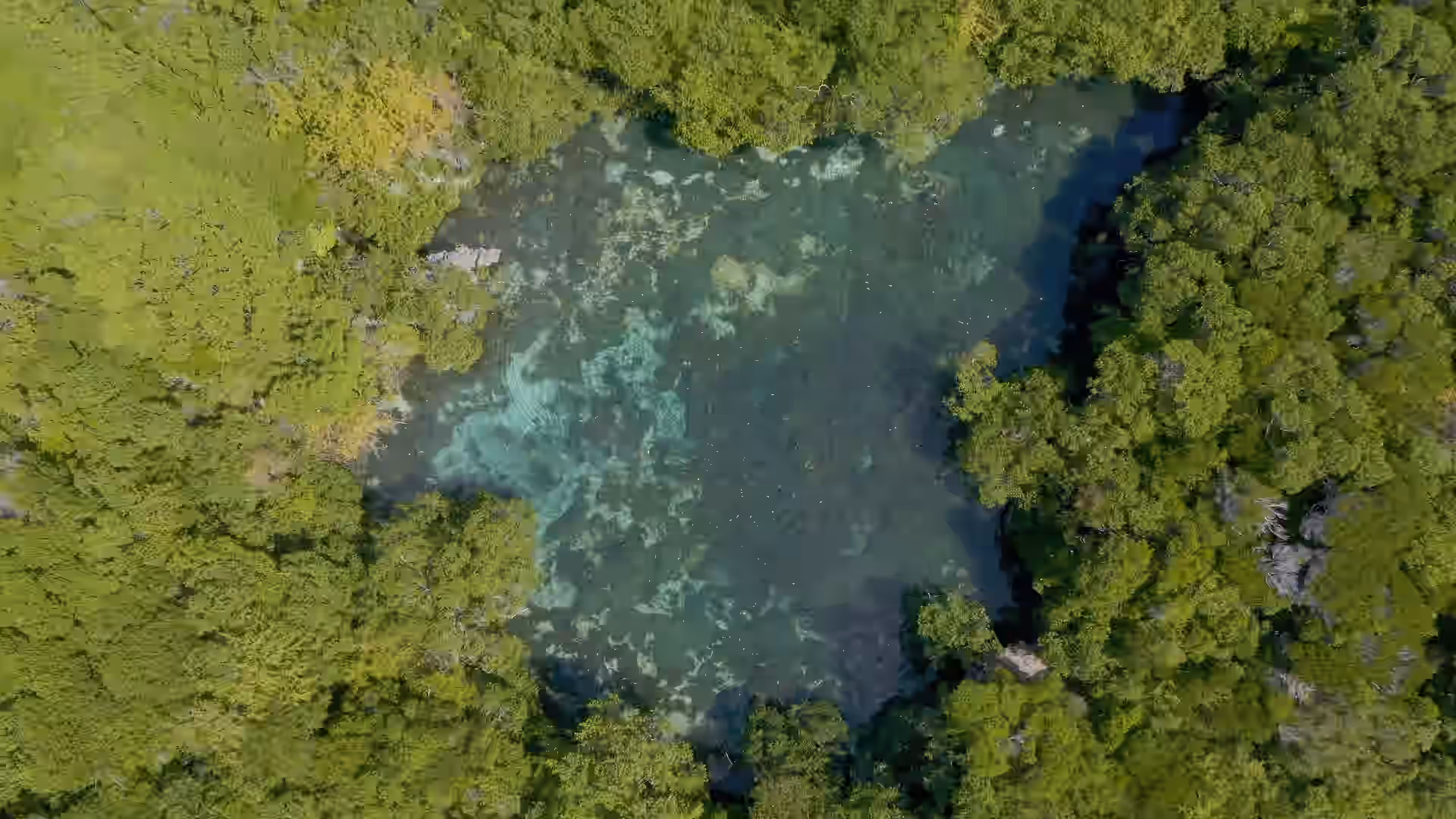 Discover the Blue Lagoon in Mafia Island Gallery Image 2