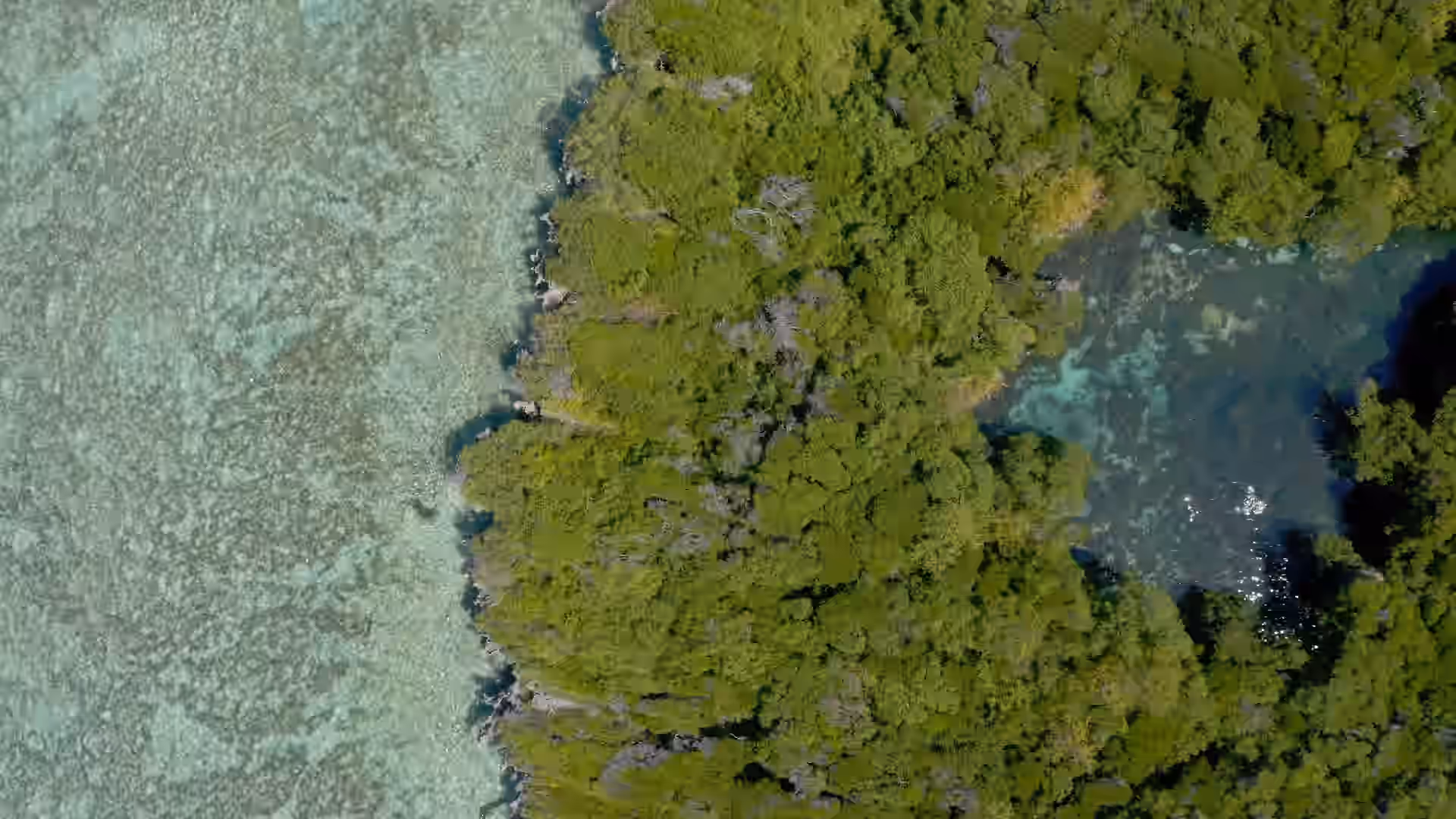Discover the Blue Lagoon in Mafia Island Gallery Image 1