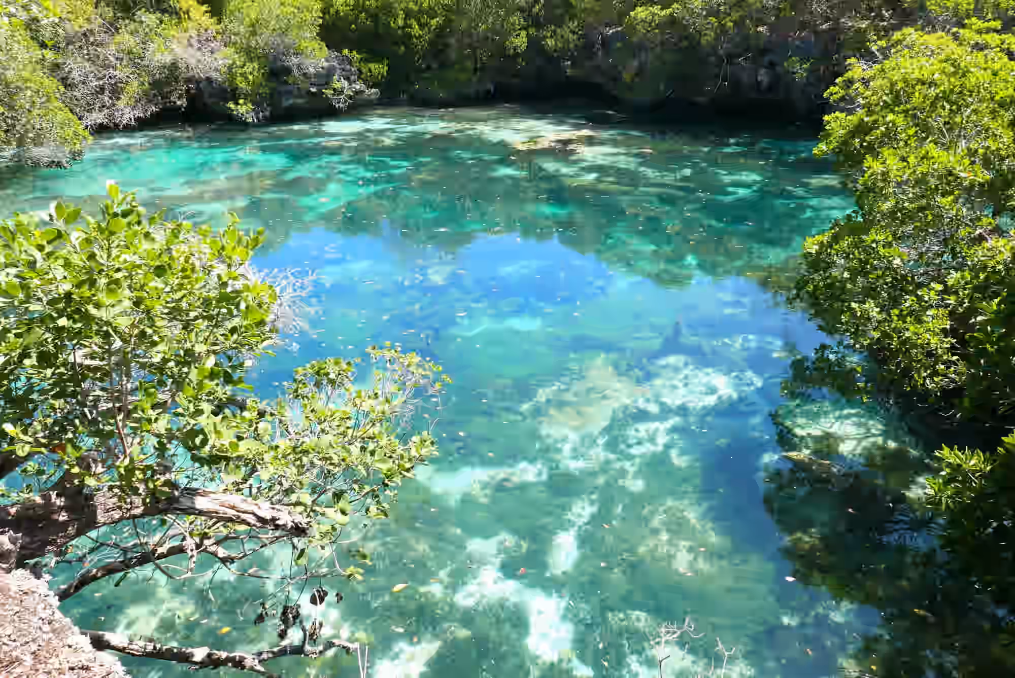 Discover the Blue Lagoon in Mafia Island