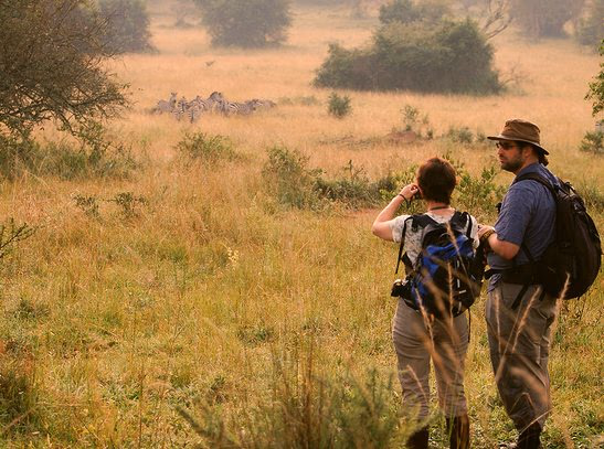 Walking safari in lake Manyara National park Gallery Image 1