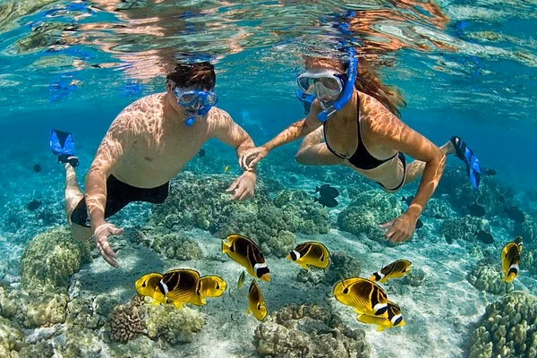 Mnemba Island Private Snorkeling Excursion