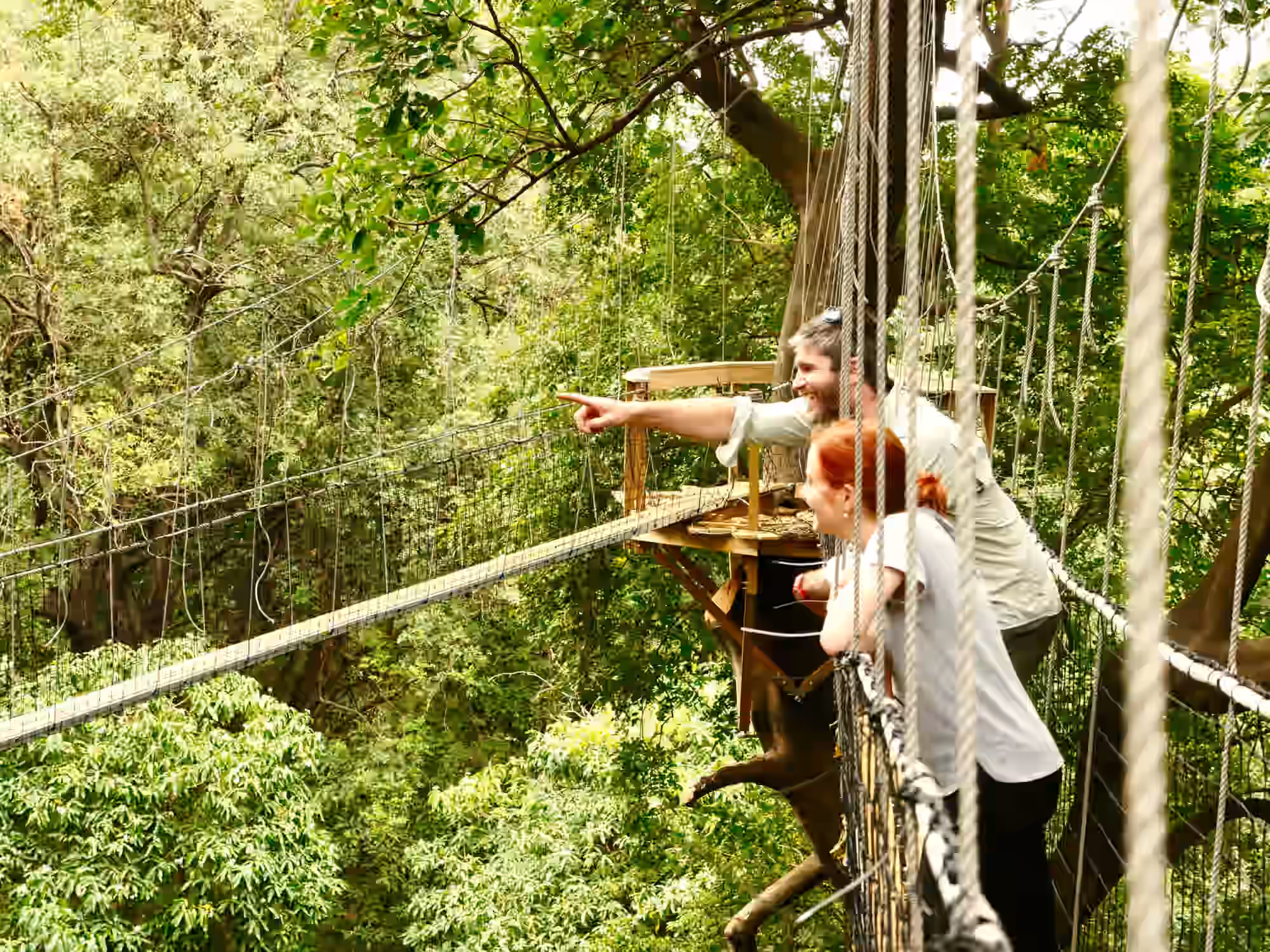 Treetop Walk in Lake Manyara National Park