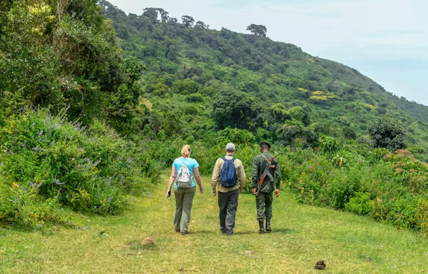 Guided Walking Safari In Serengeti