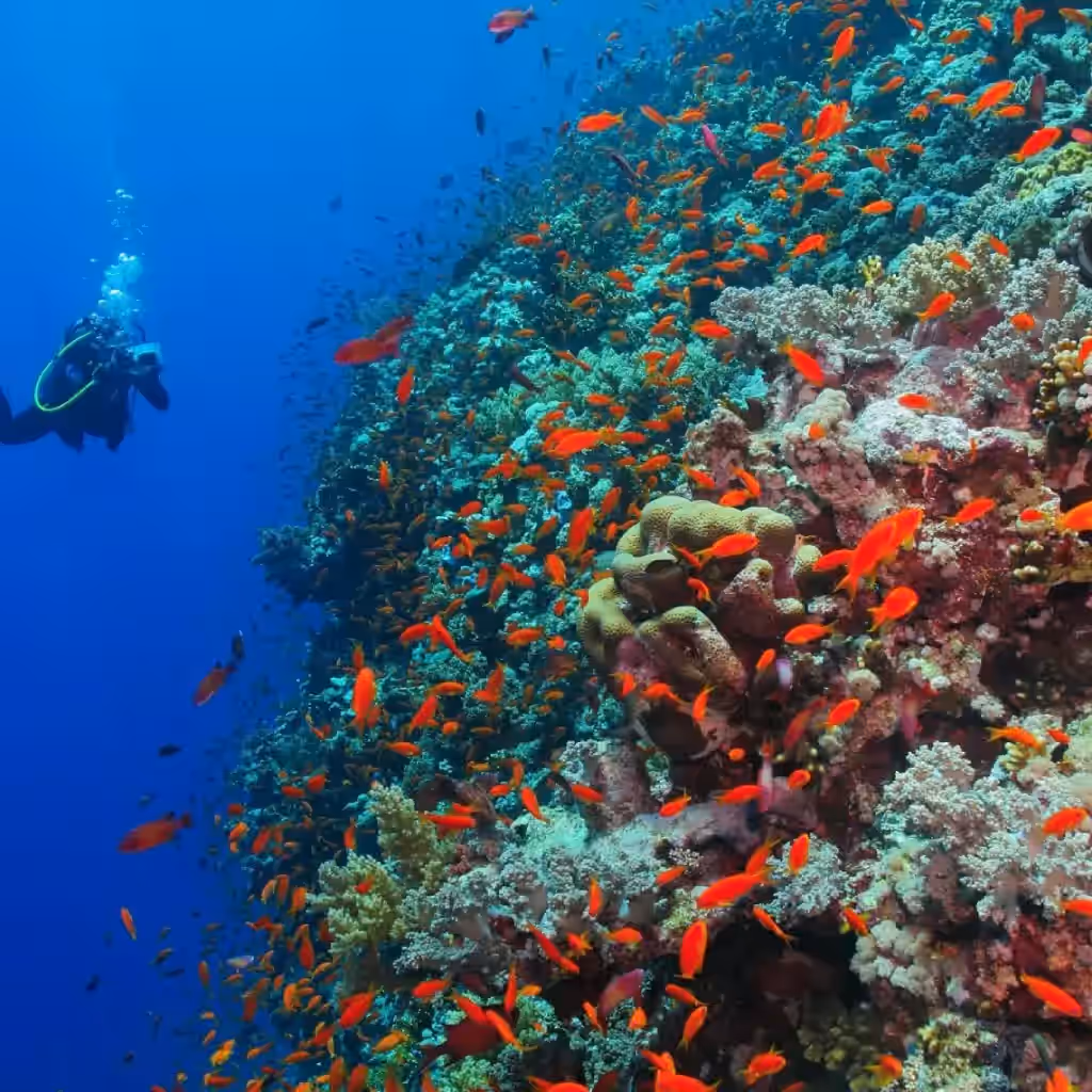 Visit the islands near unguja ukuu