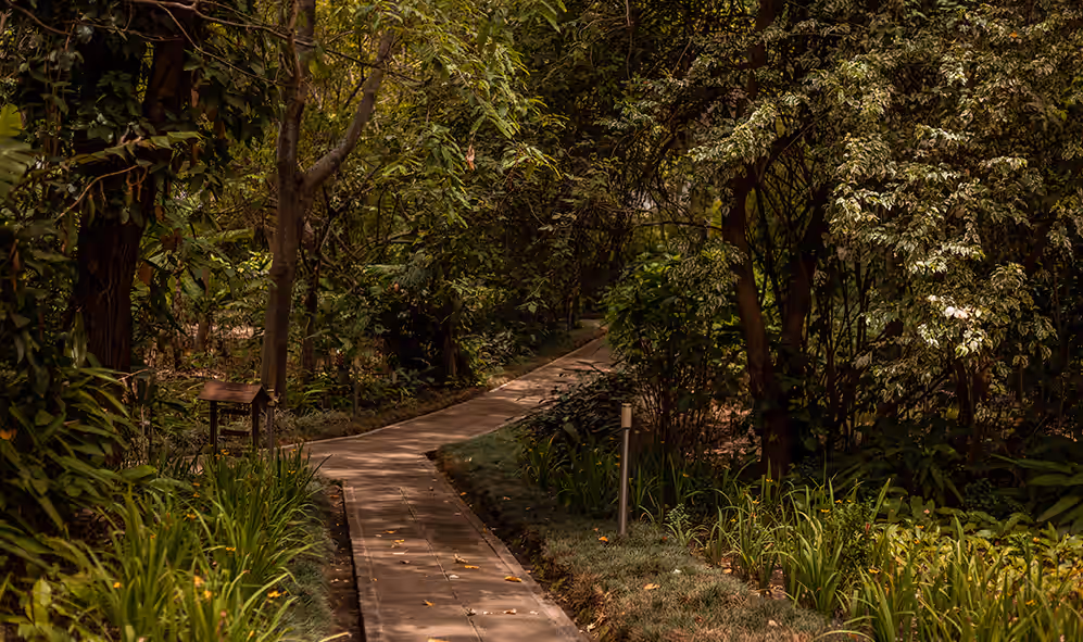 Lake Duluti Walk