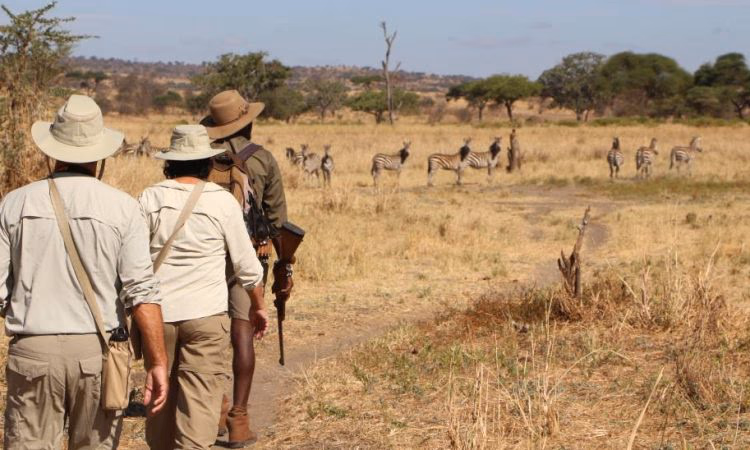 Walking safari in lake Manyara National park Gallery Image 2