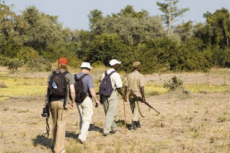 Walking safari in lake Manyara National park