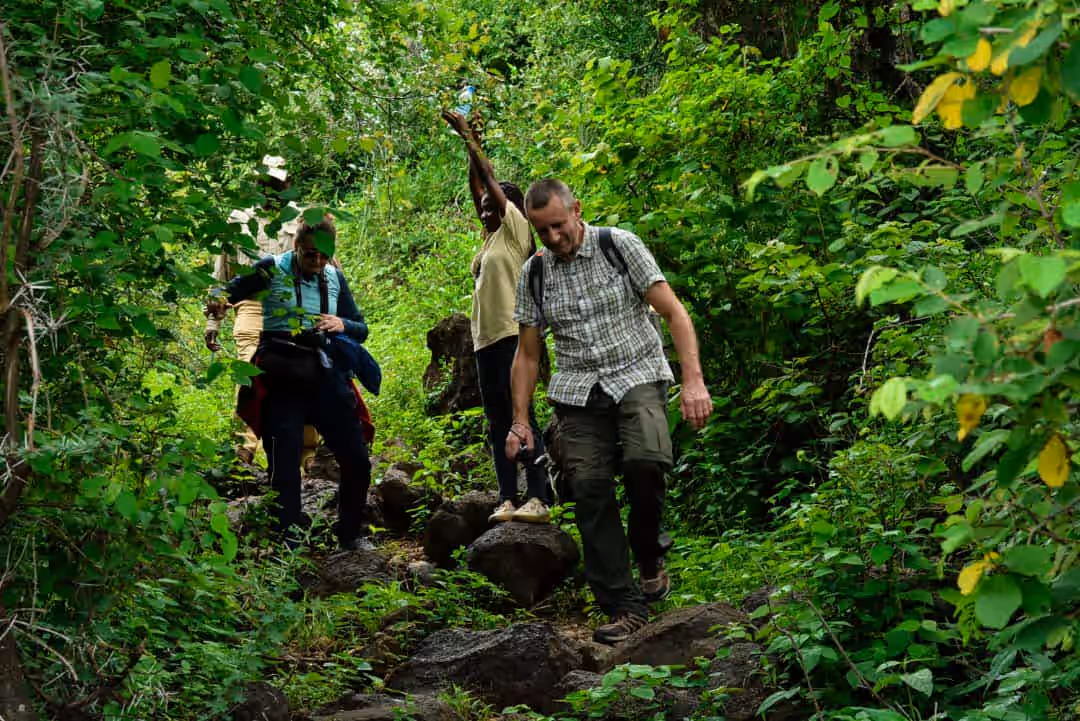 Forest Hike in Mto wa Mbu Gallery Image 1