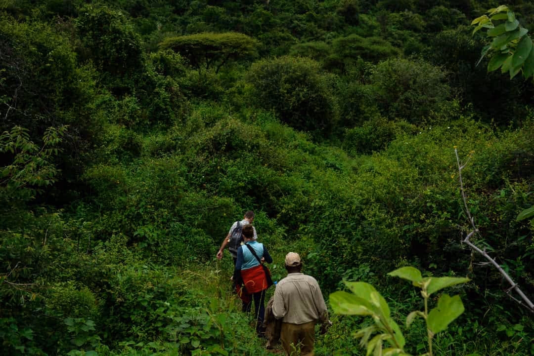 Forest Hike in Mto wa Mbu