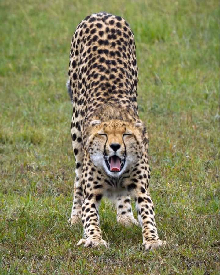 Kenya Gallery Image