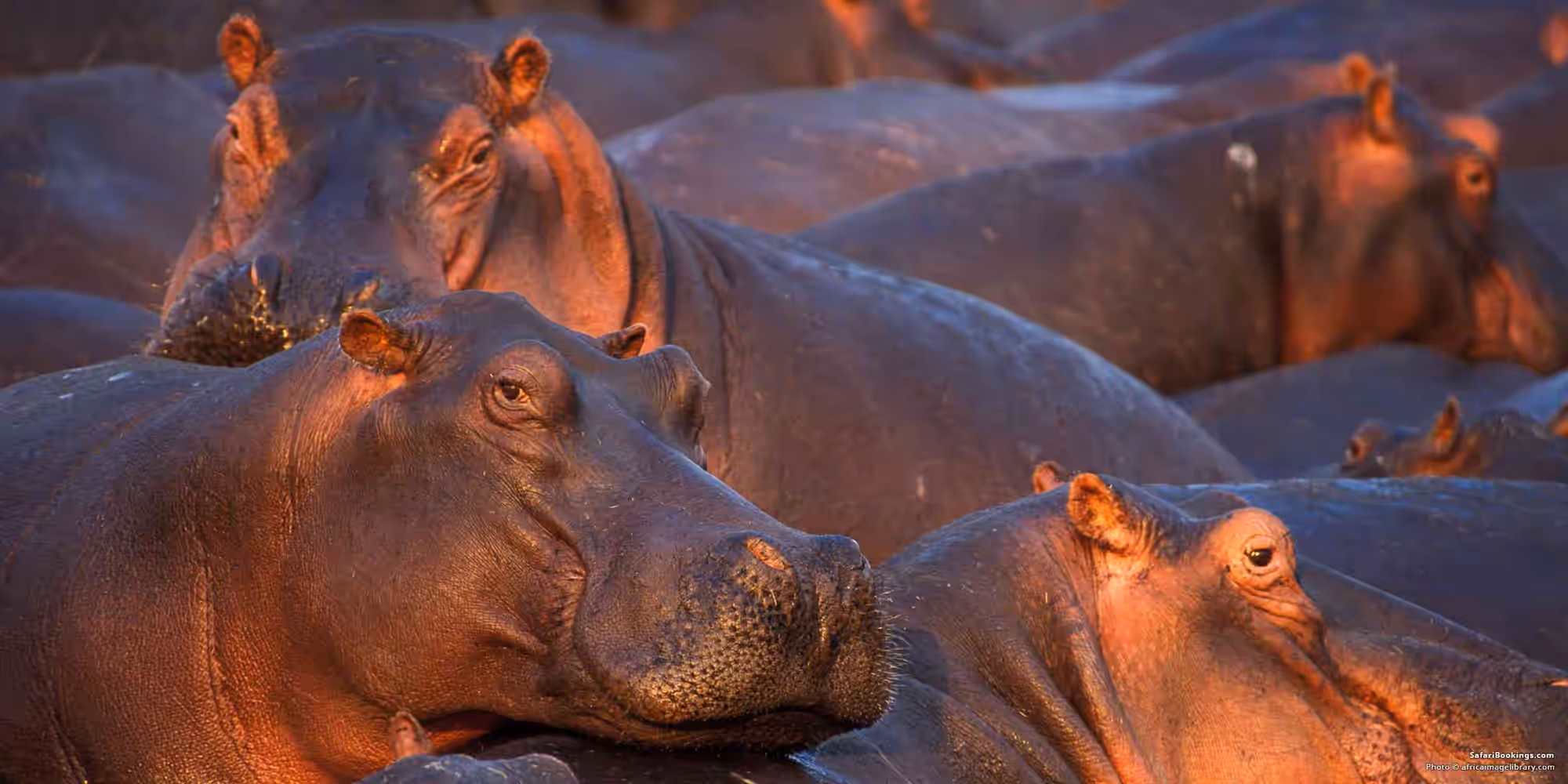 Katavi National Park