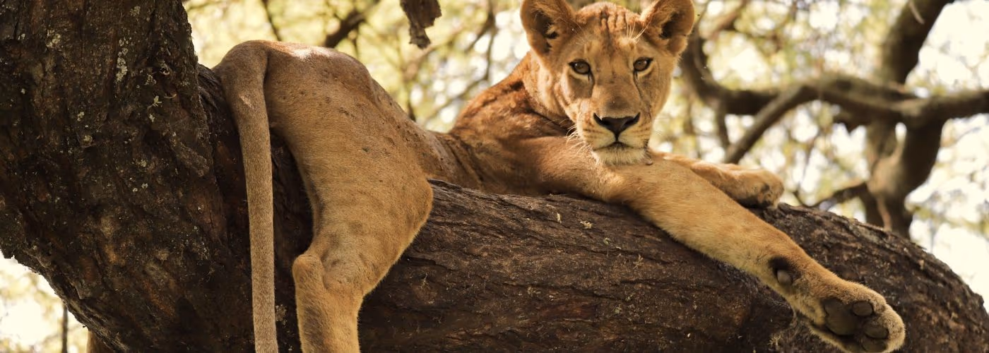 Lake Manyara National Park