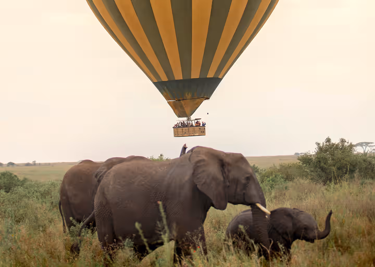 Masai Mara National Reserve Gallery Image 3