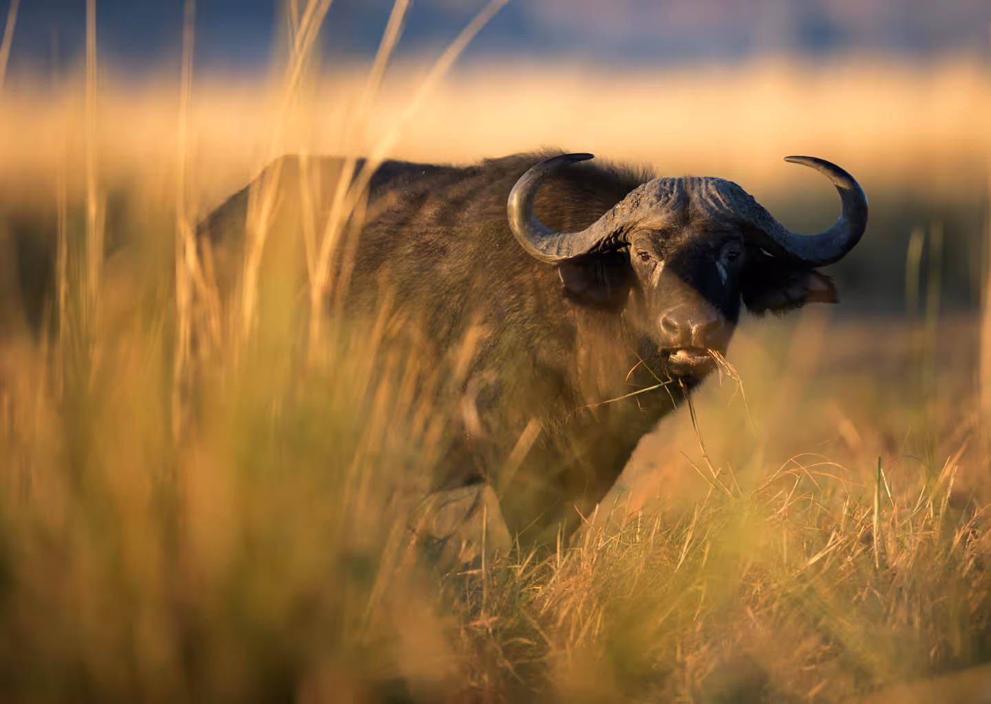 Taita Hills Wildlife Sanctuary