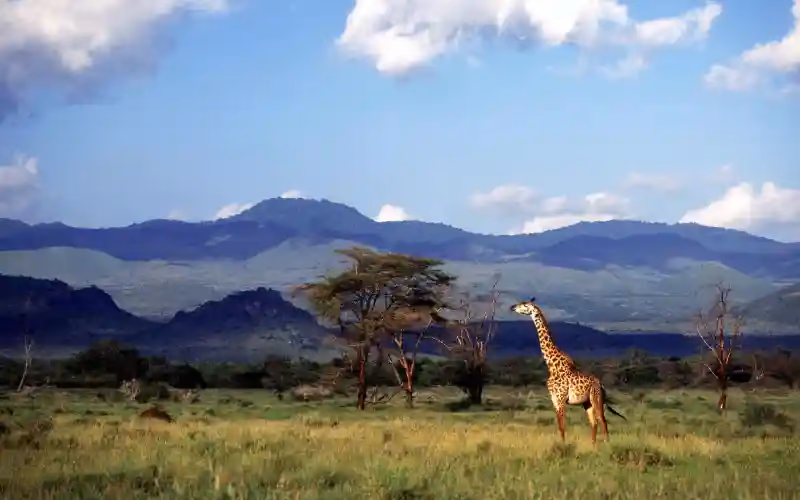 Chyulu Hills National Park