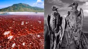 Lake Natron Gallery Image 2