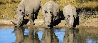 Eastern Cape