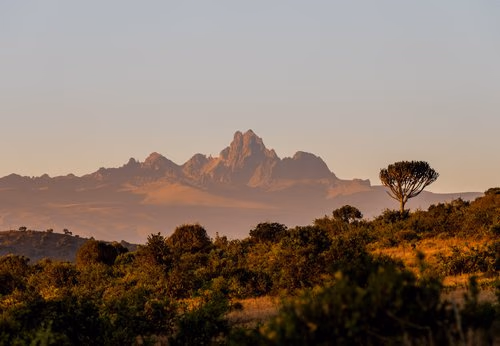 Borana Conservancy
