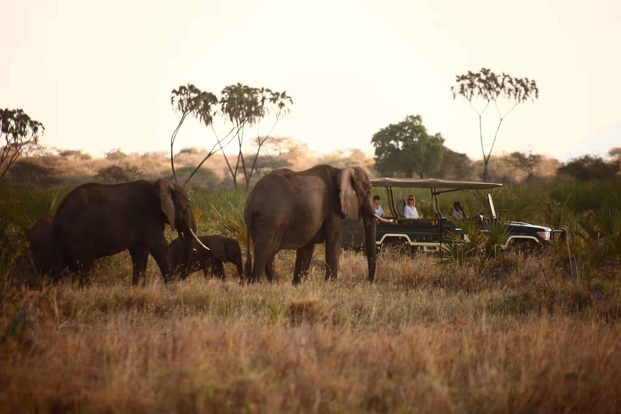 Meru National Park