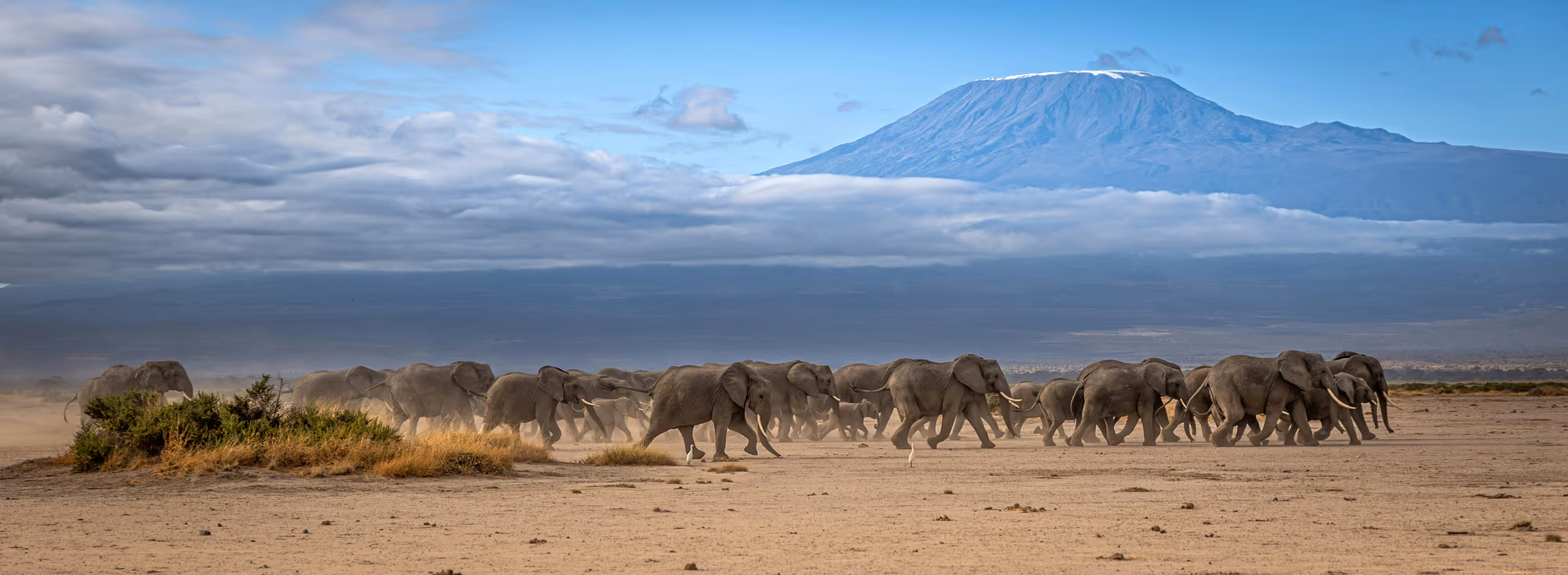 Amboseli National Park