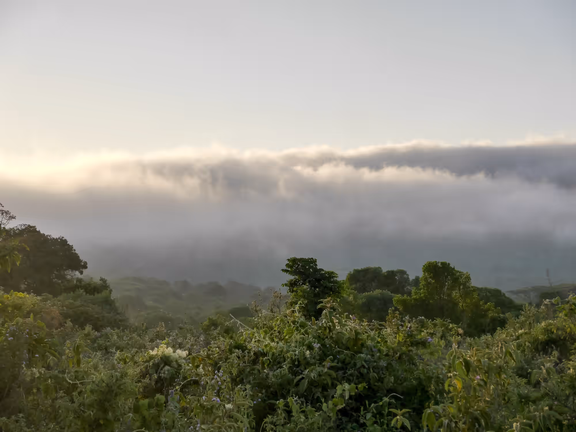 Gombe National Park