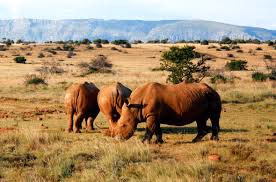 Karoo National Park