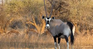 Marakele National Park
