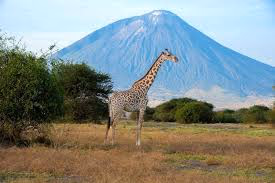 Lake Natron Gallery Image 3