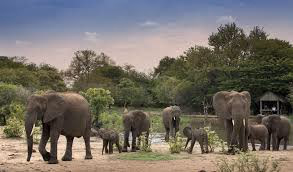 Kwandwe Private Game Reserve Gallery Image 2