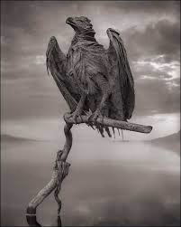 Lake Natron Gallery Image 1